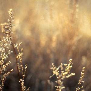 粉嫩极品国产在线无码网站
